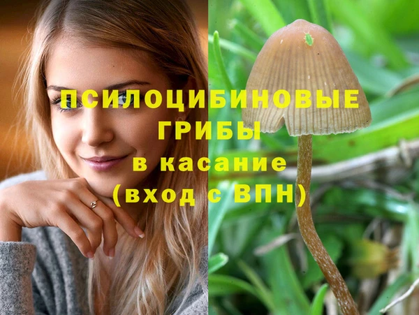 PSILOCYBIN Горнозаводск